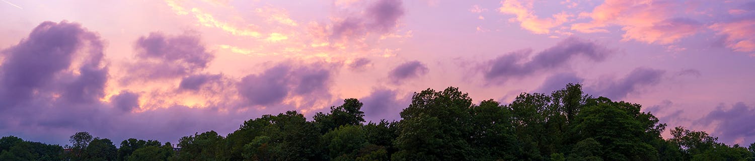 Bro over vann til skog i solnedgang